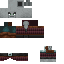 Texture for illager