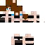 Texture for Model