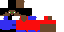 Texture for BUGGY
