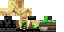 Texture for creeper hunter