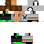 Texture for ds