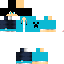 Texture for P3DRO