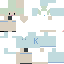 Texture for kinakov2