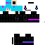 Texture for マイクラスキン