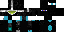 Texture for ninja