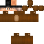 Texture for Bear Luis