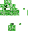 Texture for Creeper