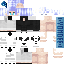 Texture for MainSkin