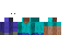 Texture for STEVE