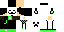 Texture for Anonycreeper