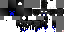 Texture for ninja skin