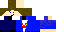 Texture for DAVE