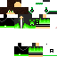 Texture for df