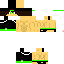Texture for sas