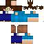 Texture for Steve