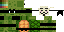 Texture for Anonymous turtle