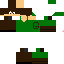 Texture for pedropintus