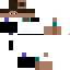 Texture for Nickl2