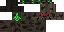 Texture for spider2