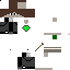 Texture for the real cat team 44