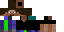 Texture for stevex