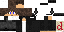 Texture for Asterix2013