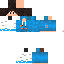 Texture for steve