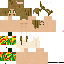 Texture for Litos-surfer