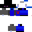 Texture for ender_king