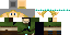 Texture for link bro