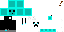 Texture for Skiz