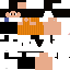 Texture for Dani CH