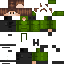 Texture for Husi22