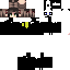 Texture for panda2