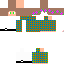Texture for ansar
