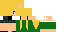 Texture for lucas_craf