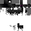 Texture for Phantom