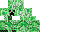 Texture for creepinho