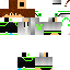 Texture for zsa
