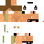 Texture for BEST PLS