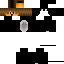 Texture for gt