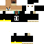 Texture for gui