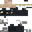 Texture for THE PRINCE