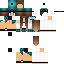 Texture for SDF