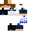 Texture for LammertTMS