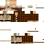 Texture for steve