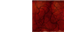 Texture for GauronX