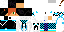 Texture for VERTES2000