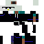 Texture for Pinguinplt