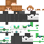 Texture for Paladin_Pidge_MC_Skin